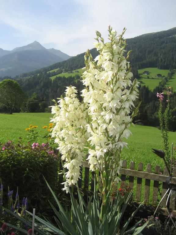 Apartment Acker Alpbach Eksteriør billede