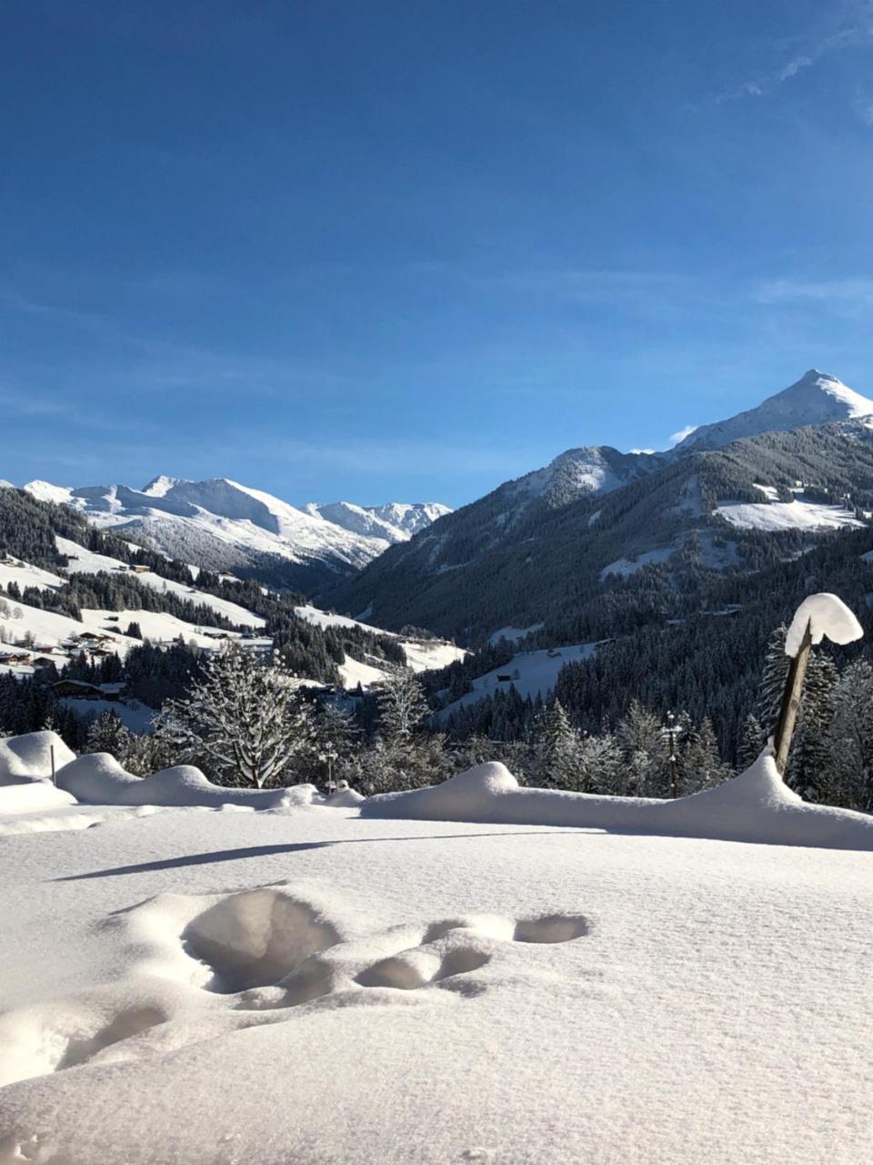 Apartment Acker Alpbach Eksteriør billede